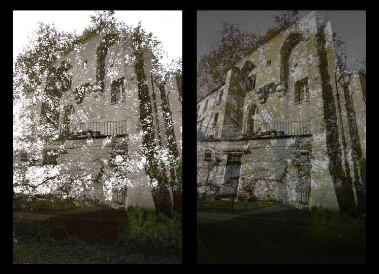 Original Expressionism Nature Installation by Sylvie Bruneau