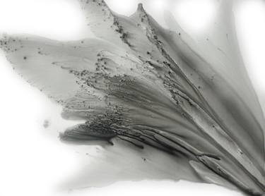Original Abstract Science Paintings by Muriel Napoli