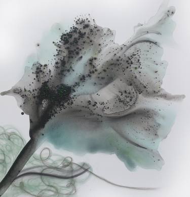 Original Abstract Nature Paintings by Muriel Napoli
