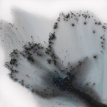 Original Abstract Nature Paintings by Muriel Napoli
