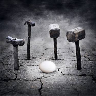 Original Conceptual Garden Photography by Alessandra Favetto