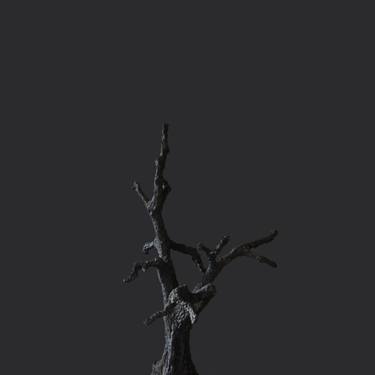Original Contemporary Tree Photography by Ventsislav Zankov