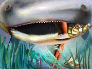 Print of Figurative Fish Paintings by Leo Wijnhoven