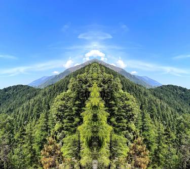Original Conceptual Landscape Photography by Sumit Mehndiratta