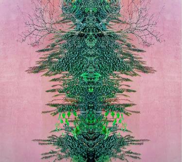 Original Conceptual Botanic Photography by Sumit Mehndiratta