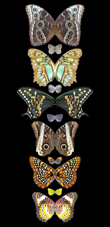 Original Conceptual Nature Digital by Sumit Mehndiratta
