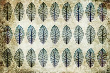 Original Abstract Botanic Digital by Sumit Mehndiratta