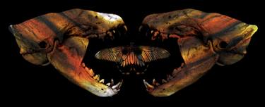 Original Expressionism Animal Digital by Sumit Mehndiratta