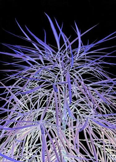 Original Expressionism Botanic Photography by Sumit Mehndiratta