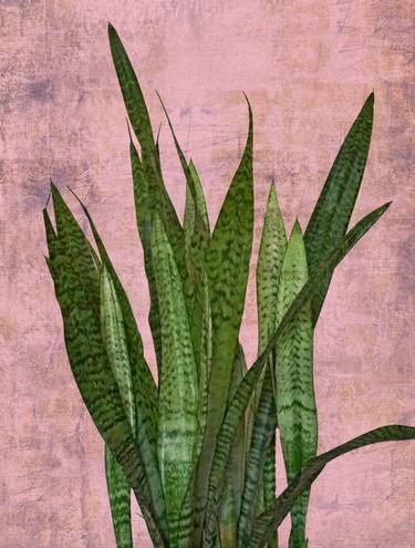 Original Abstract Botanic Photography by Sumit Mehndiratta
