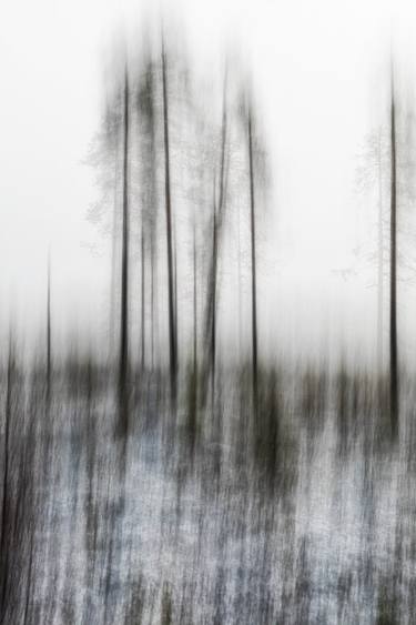 Original Abstract Tree Photography by Karim Carella