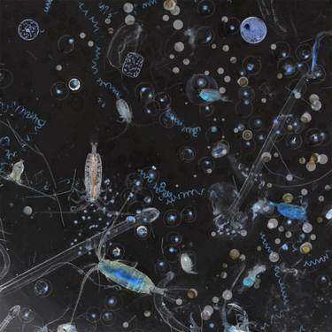 Original Surrealism Science/Technology Photography by Ln Le Cheviller