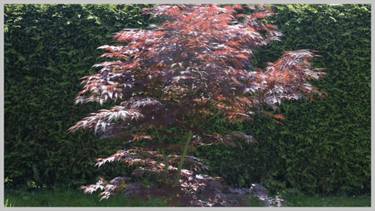 Original Conceptual Tree Mixed Media by Otto Stadler