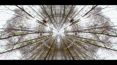 Original Conceptual Abstract Mixed Media by Otto Stadler