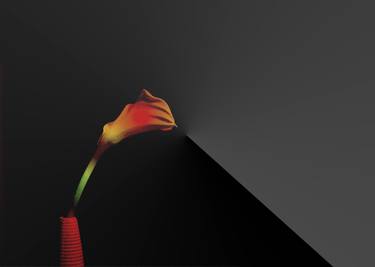 Original Conceptual Floral Digital by Panos Pliassas
