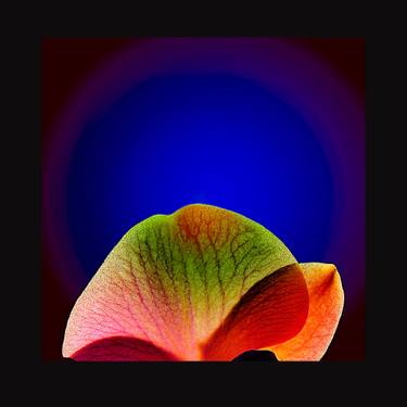 Original Futurism Botanic Digital by Panos Pliassas
