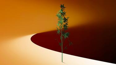 Original Conceptual Nature Digital by Panos Pliassas