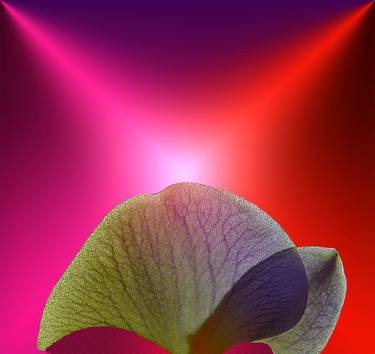 Original Fine Art Abstract Digital by Panos Pliassas