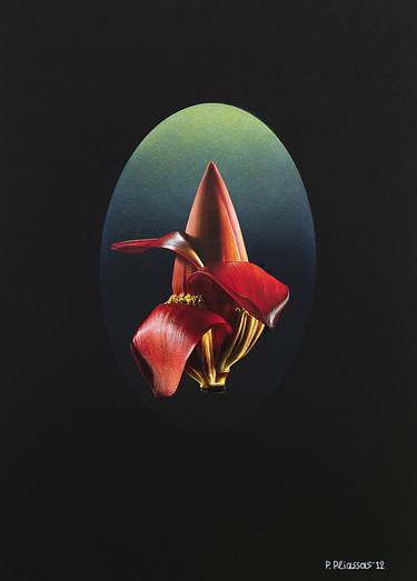 Original Conceptual Still Life Digital by Panos Pliassas