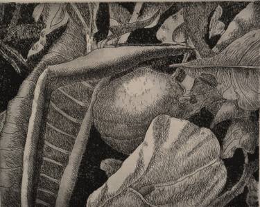 Original Fine Art Still Life Printmaking by Simonetta Leonetti Luparini