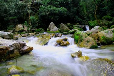 Original Conceptual Nature Photography by Prakash Bhattarai