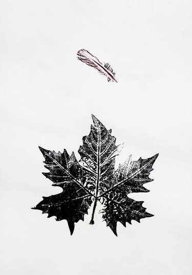 Original Abstract Classical mythology Printmaking by Ozgun Evren Erturk