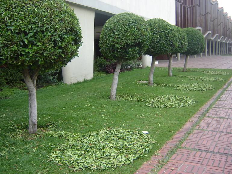 Original Fine Art Abstract Sculpture by Alejandro  Rincón Gutiérrez