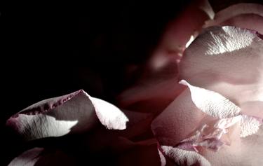 Print of Conceptual Light Photography by Agnieszka Kukawska