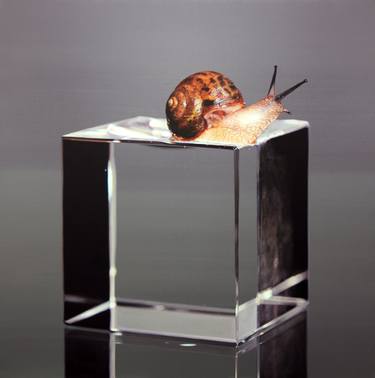 Original Photorealism Animal Painting by Young-Sung Kim