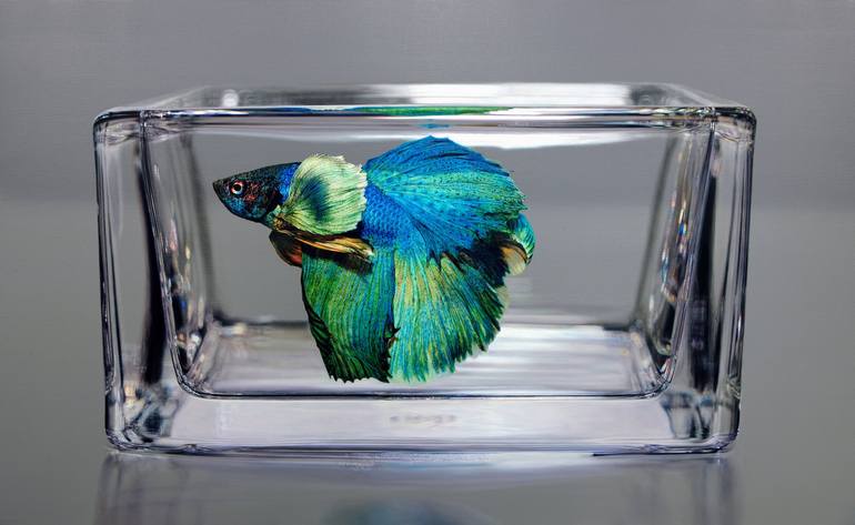 Nothing. Life. Object Painting by Young-Sung Kim | Saatchi Art
