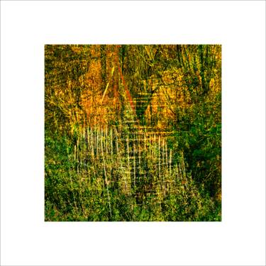 Original Fine Art Landscape Photography by Paul Harrison