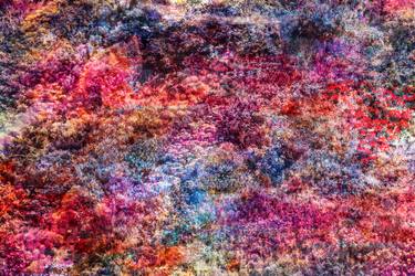 Original Abstract Expressionism Botanic Photography by Viet Ha Tran