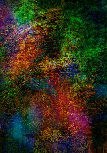 Original Abstract Nature Photography by Viet Ha Tran