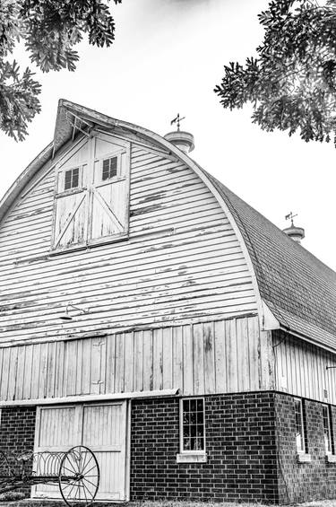 Original Conceptual Rural life Photography by Steve Hartman