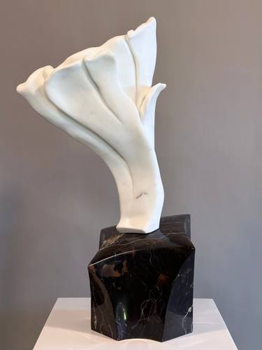 Original Contemporary Floral Sculpture by Todd Mihlbauer