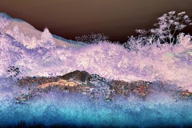 Original Abstract Expressionism Still Life Photography by Lukas Kroulik