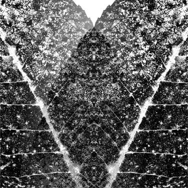 Original Abstract Nature Mixed Media by Magdalena Skiba