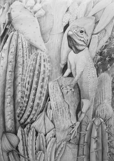 Original Documentary Nature Drawings by Violeta Vollmer