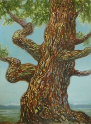 Original Fine Art Tree Paintings by Leigh Buchanan