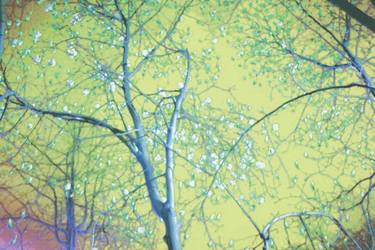 Original Abstract Expressionism Landscape Mixed Media by Hazzi Eunjeong
