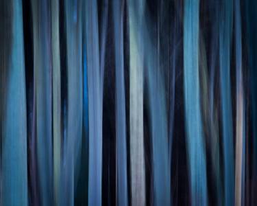 Original Abstract Tree Photography by Peter O'Reilly