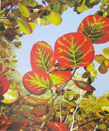 Original Realism Nature Painting by Jessica Salas