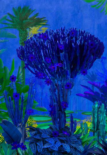 Original Impressionism Garden Photography by Nadia Attura
