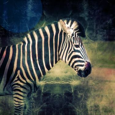 Original Abstract Expressionism Animal Photography by Nadia Attura