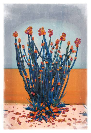 Original Fine Art Botanic Photography by Nadia Attura