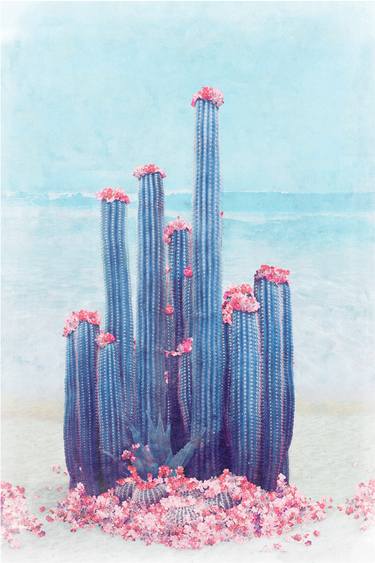 Original Fine Art Botanic Photography by Nadia Attura