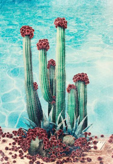 Original Surrealism Garden Photography by Nadia Attura