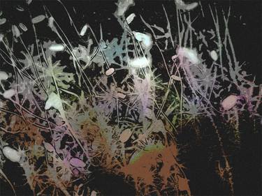 Original Pop Art Botanic Photography by Dagmar Lukes