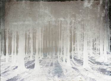 Original Fine Art Botanic Printmaking by Dagmar Lukes