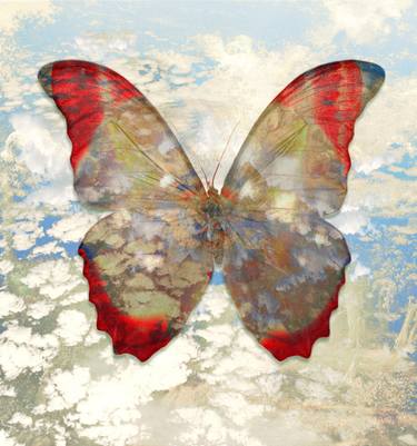 Original Figurative Nature Photography by Karen Clark